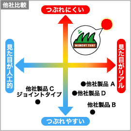 つぶれにくさ・見た目のリアルさ日本トップクラス!