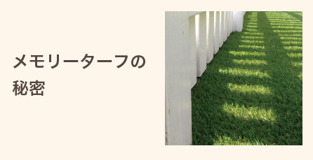 メモリーターフの秘密