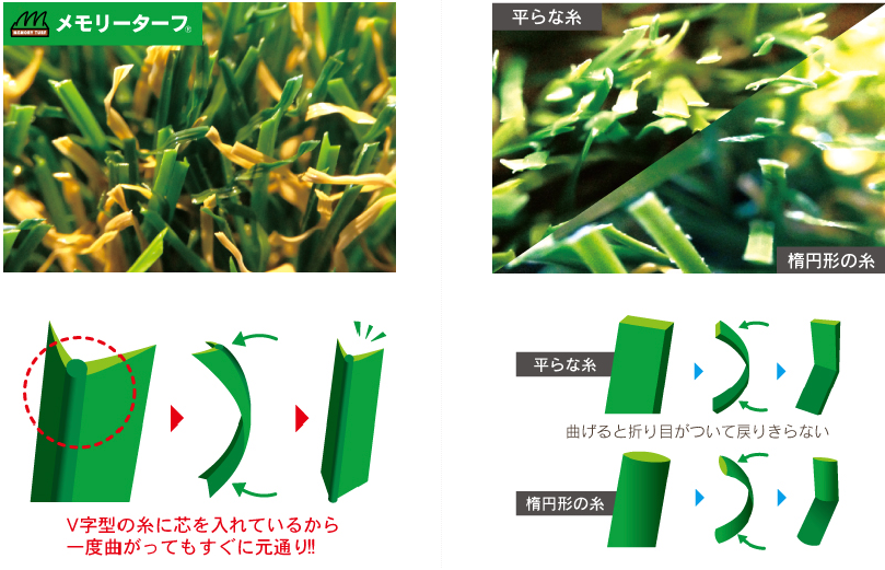 ストレート系